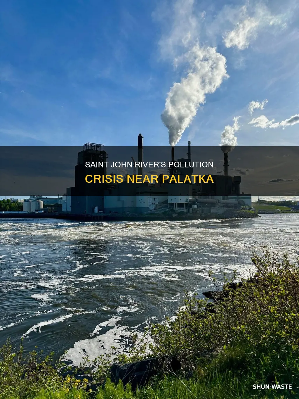 is the saint john river near polatka polluted