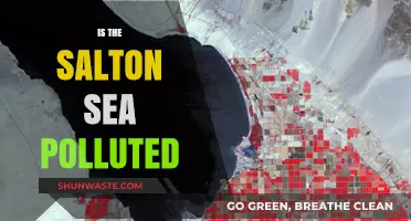 Salton Sea Pollution: Is It Still Safe?