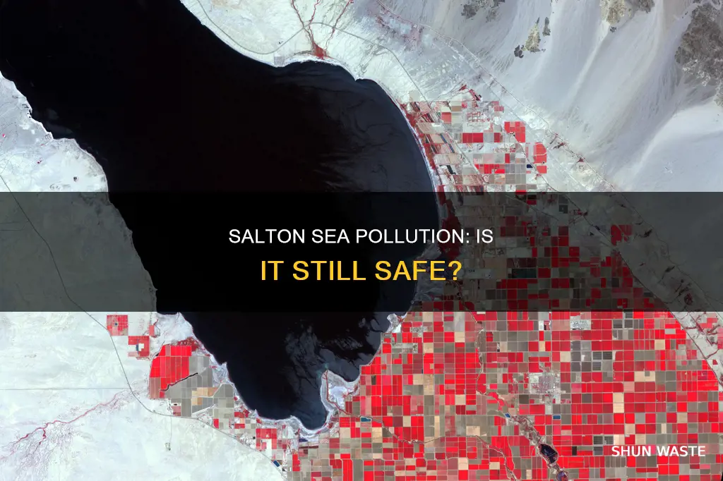 is the salton sea polluted