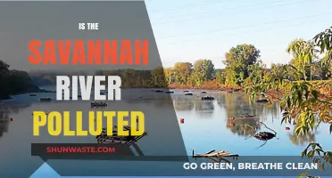 Savannah River's Pollution Problem: Is It Getting Worse?