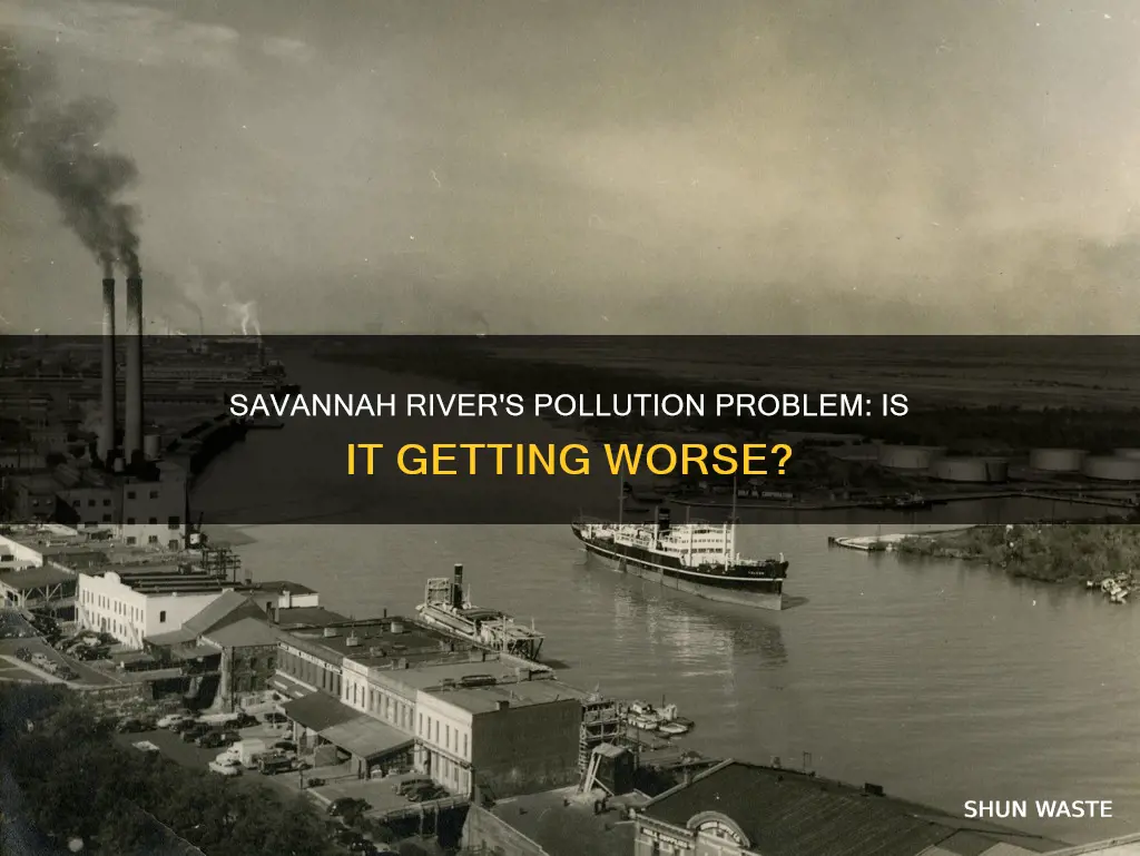 is the savannah river polluted