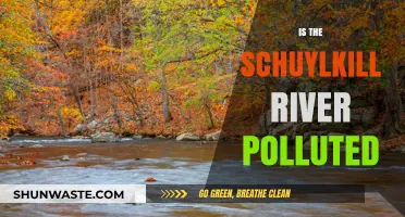 Schuylkill River: A Polluted Waterway in Philadelphia