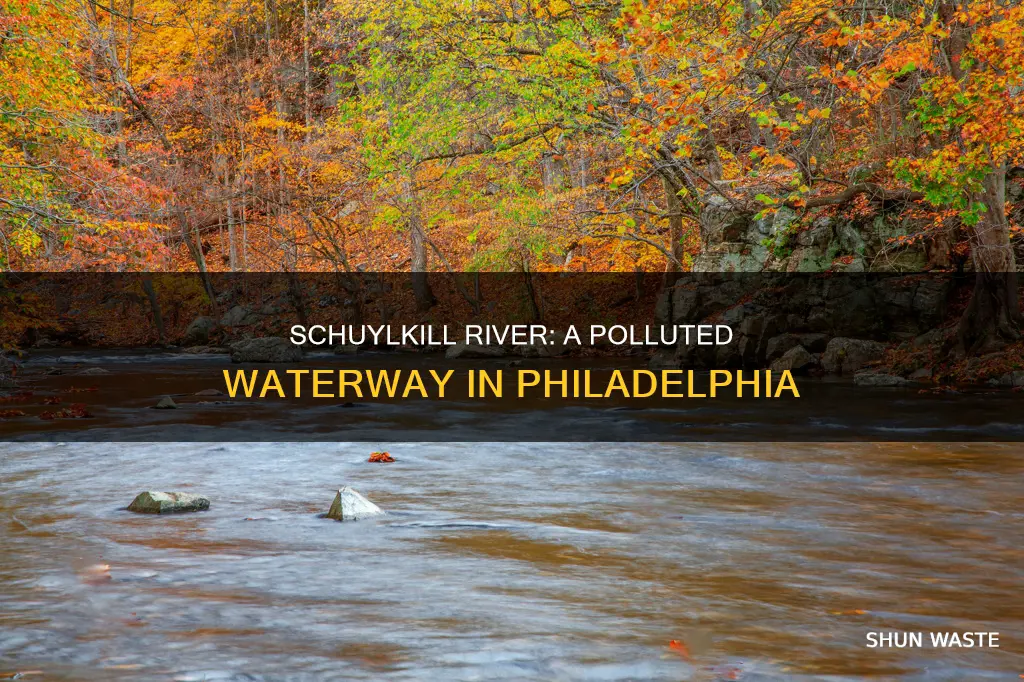 is the schuylkill river polluted