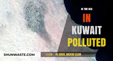 Kuwait's Sea Pollution: A Growing Concern?