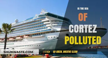 The Troubled Sea of Cortez: Pollution's Impact