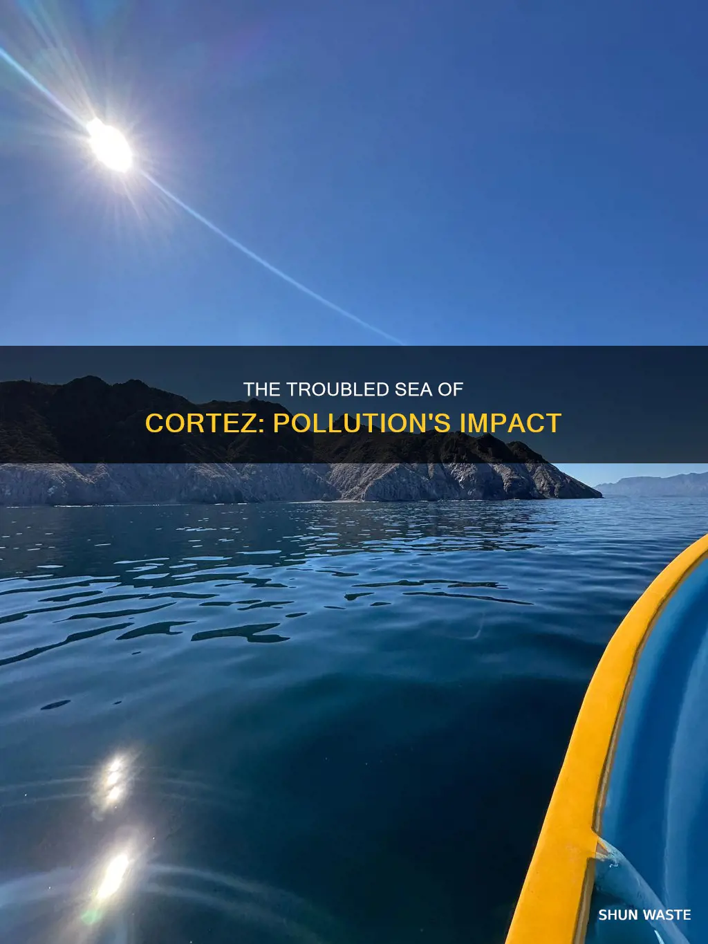 is the sea of cortez polluted