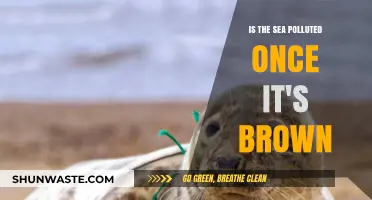 Brown Waters: Are Our Seas Polluted?