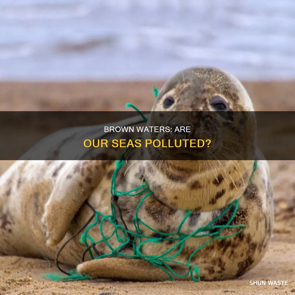is the sea polluted once it