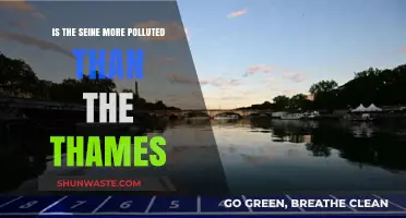 Comparing the Seine and Thames: Pollution Levels