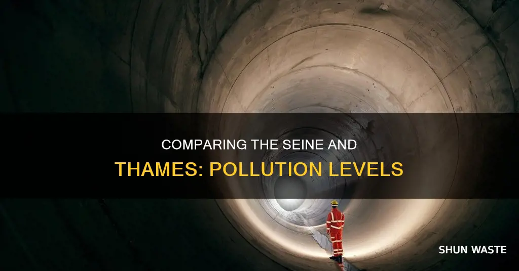is the seine more polluted than the thames