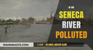 Seneca River: A Polluted Waterway?