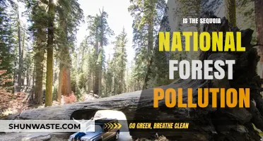 Sequoia National Forest: Pollution's Impact