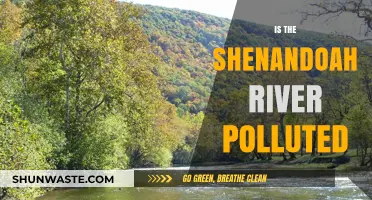 Shenandoah River: A Polluted Paradise?
