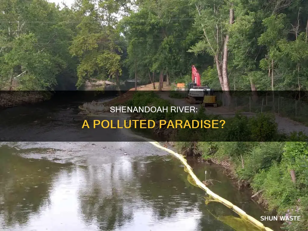 is the shenandoah river polluted