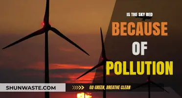 How Pollution Turns the Sky Red