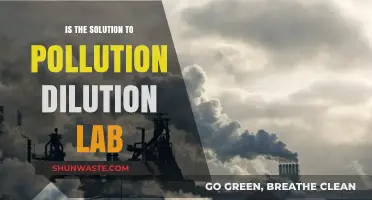 Dilution Solution: Lab Testing for Pollution