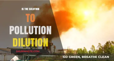 Dilution Solution: Pollution's False Friend