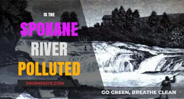 Spokane River: A Polluted Paradise?