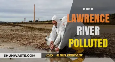 St. Lawrence River: Polluted or Pristine?