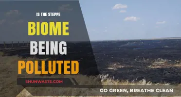 Steppe Biome Pollution: A Growing Concern?