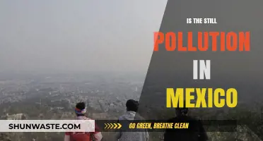 Mexico's Pollution Problem: Is the Country Winning the War?