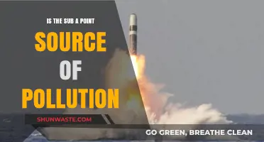 Submarine Pollution: Point Source Problem?