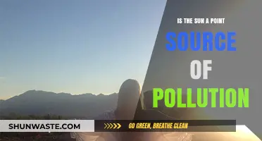 Sun Pollution: Is Our Star a Polluting Point Source?