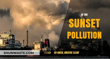 The Sunset's Pollution: Nature's Art or Man-made Disaster?