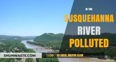 Susquehanna River: A Polluted Paradise?