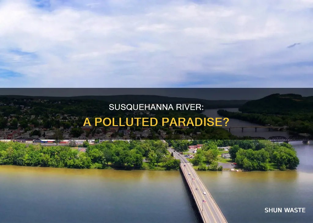 is the susquehanna river polluted