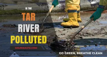 Tar River Pollution: Is It Safe?