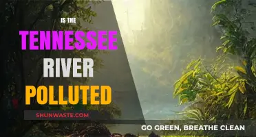 Tennessee River Pollution: What's the Status?