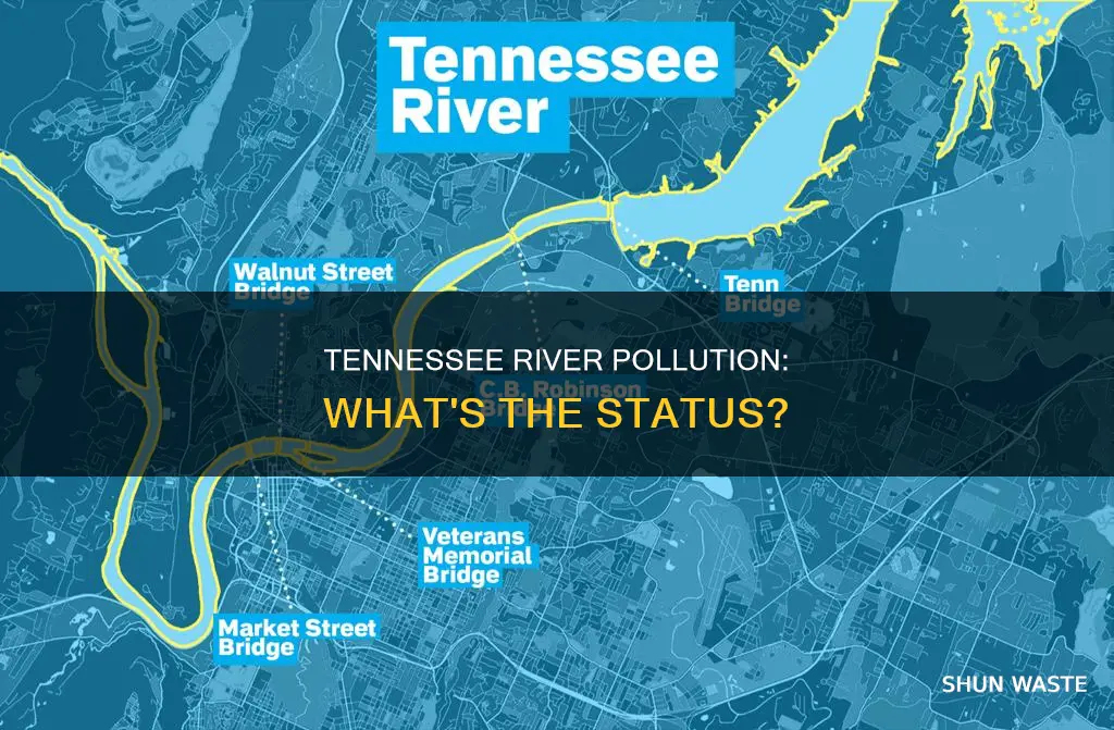 is the tennessee river polluted