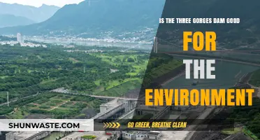 Three Gorges Dam: Environmental Savior or Ecological Disaster?