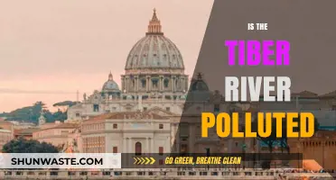 The Tiber River: A Polluted Paradise?