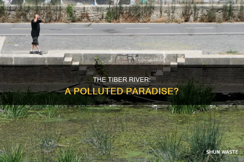 is the tiber river polluted