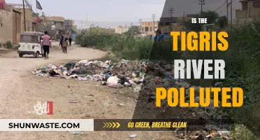 The Tigris River: Polluted or Pristine?