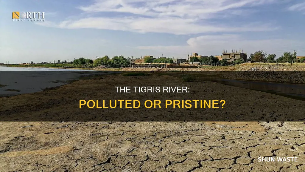 is the tigris river polluted