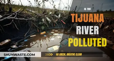 The Tijuana River: A Polluted Waterway Crisis
