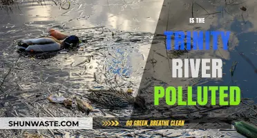The Trinity River: A Polluted Waterway?
