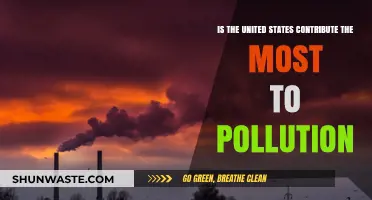 Who Pollutes the Most? The US's Dark Secret