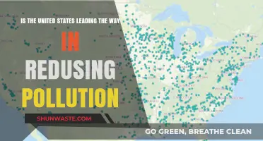 US Pollution Reduction: Leading the World?