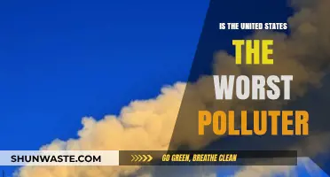 Who's the Worst Polluter? America's Dark Legacy