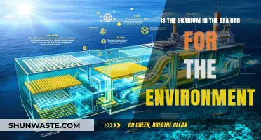 Uranium in Seawater: Environmental Impact and Ecological Concerns Explored