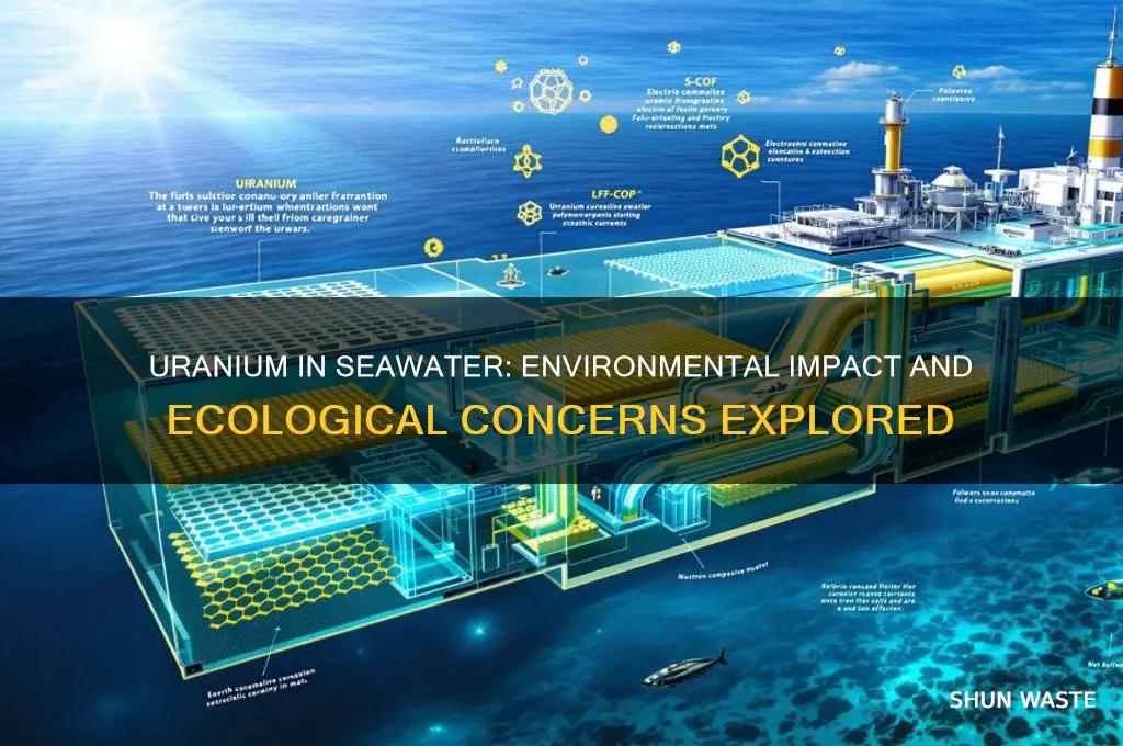 is the uranium in the sea bad for the environment