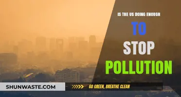 US Anti-Pollution Efforts: Are They Sufficient?
