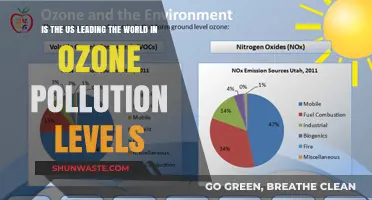 Ozone Pollution: Is the US Leading or Lagging?