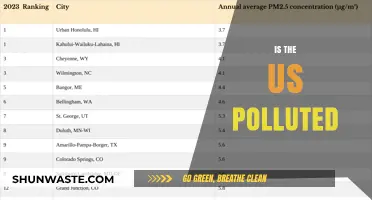 The US Pollution Problem: A Troubling Reality