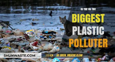 Plastic Pollution: Is the US the Worst Offender?
