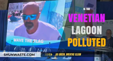Venetian Lagoon: A Polluted Paradise?